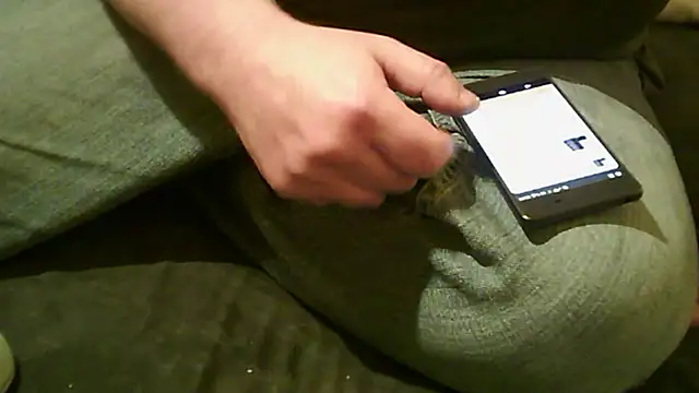 vimilili online show from October 2025 07:54:02 PM