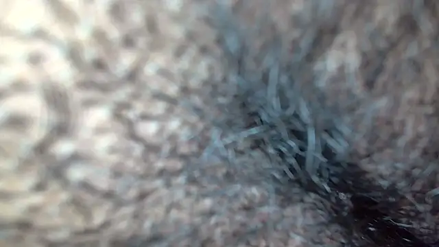 Snapshot of white_sexy_ chatting on November 2025 10:41:02 AM white sexy online show from November 2025 10:41:02 AM