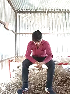 Kartik bbc indian online show from December 2024 09:57:01 AM