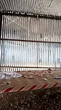 Kartik bbc indian online show from December 2024 06:21:02 AM