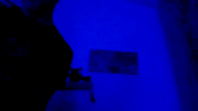 El Gizmo online show from February 2026 10:59:02 AM