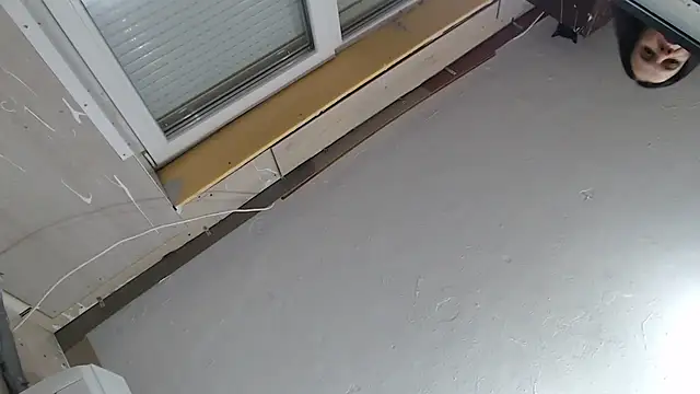 Snapshot of CRISTIINA37 chatting on December 2025 03:24:01 PM CRISTIINA37 online show from December 2025 03:24:01 PM