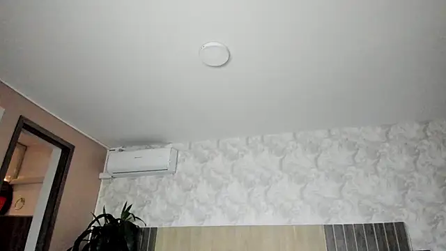 rebeca cortez  online show from May 2026 07:39:02 PM