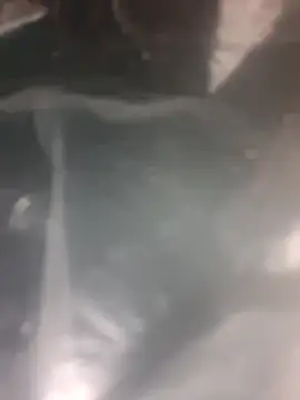 Puffgettingstuffed online show from December 2025 08:22:02 PM