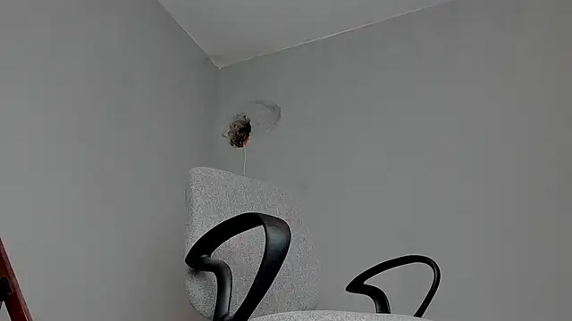 Master Mark Wayne online show from November 2025 11:15:02 AM