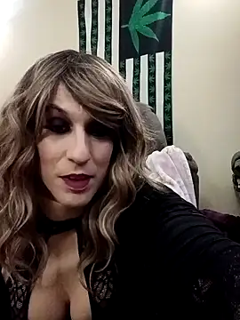 hotcd89 online show from March 2026 03:32:01 AM