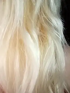 Freya Milf online show from December 2025 11:25:01 AM