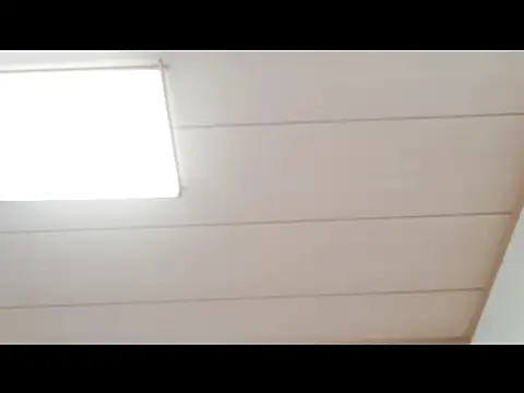 xxArisaxx online show from November 2025 06:02:01 AM