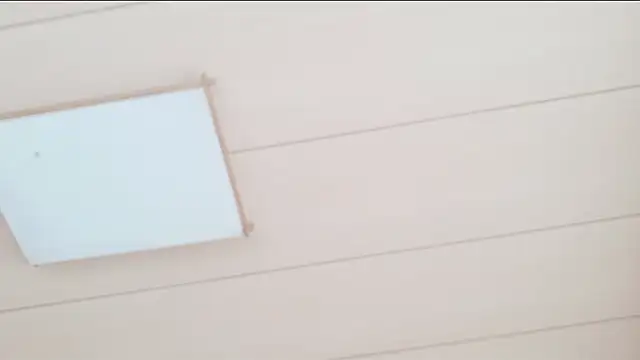 xxArisaxx online show from October 2025 05:50:02 AM