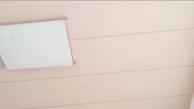 xxArisaxx online show from December 2025 06:03:01 AM