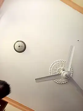 zainabsmile online show from October 2025 09:54:01 AM