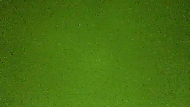 AbbyX online show from January 2026 04:12:01 PM