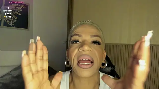 summer night  online show from February 2026 11:21:02 AM