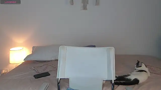 Abii 26 online show from November 2025 03:10:02 AM