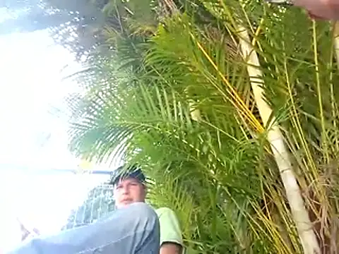 sincuenton24cmts online show from January 2026 07:17:01 PM