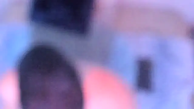 stillwild online show from December 2025 10:21:02 AM