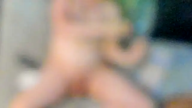 stillwild online show from June 2026 03:16:02 AM