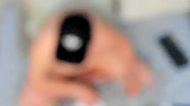 stillwild online show from February 2026 03:36:02 AM