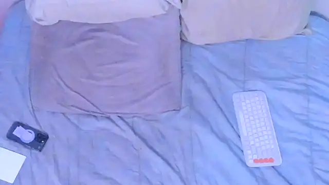 stillwild online show from March 2026 11:14:02 AM