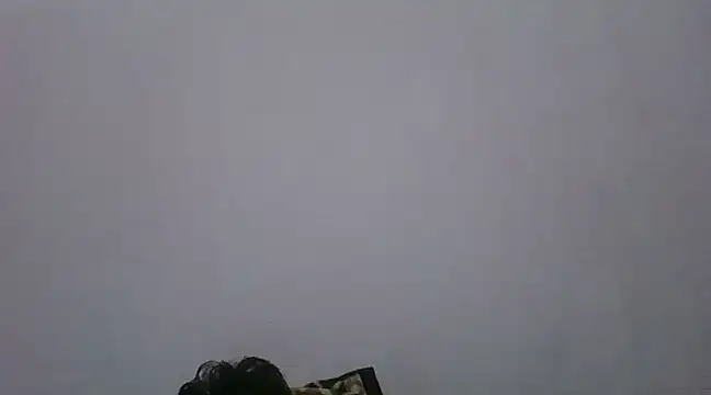 Zainakapoorg online show from March 2025 07:41:02 PM