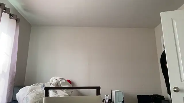 SluggishChase99 online show from February 2026 04:29:02 PM