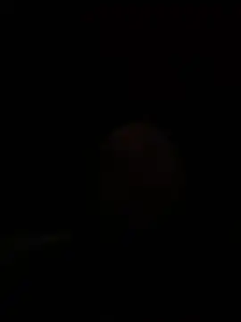 cumgetthisdick6979 online show from November 2025 04:49:01 AM