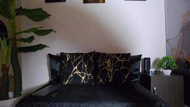 alex noa online show from February 2026 02:16:02 PM