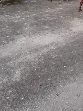 Ajith mvi online show from April 2026 01:08:01 AM