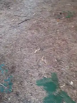 Ajith mvi online show from April 2026 01:28:01 AM