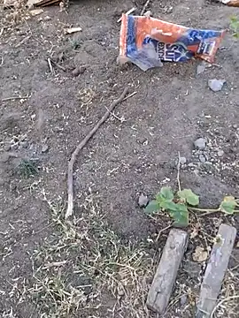 Ajith mvi online show from April 2026 01:18:01 AM