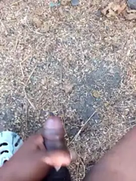 Ajith mvi online show from April 2026 03:13:01 AM