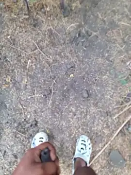 Ajith mvi online show from April 2026 01:42:01 AM