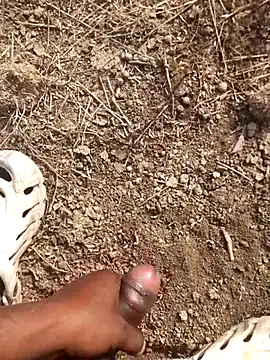 Ajith mvi online show from February 2026 03:37:01 AM