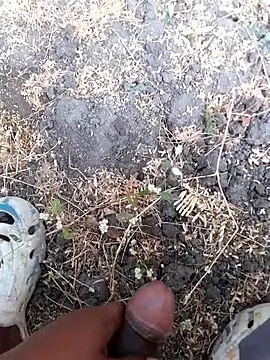 Ajith mvi online show from March 2026 02:06:02 AM