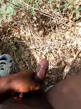 Ajith mvi online show from March 2026 05:40:01 AM