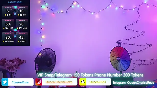 Snapshot of cheriserozequeen chatting on December 2024 10:25:02 PM cheriserozequeen online show from December 2024 10:25:02 PM