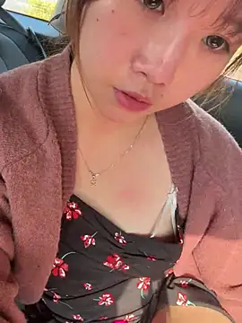 Snapshot of linko12334 chatting on January 2025 07:20:02 AM linko12334 online show from January 2025 07:20:02 AM