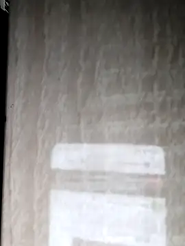 Hairyarabguy online show from November 2025 11:55:01 AM