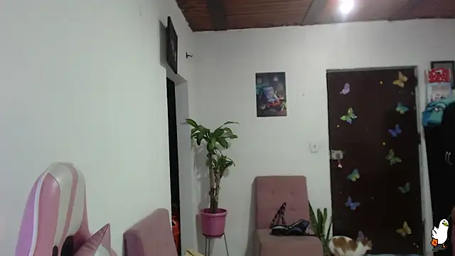 littleangel1 m online show from February 2026 01:04:02 AM