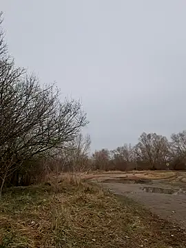 Snapshot of Zeefy chatting on March 2025 09:56:01 AM Zeefy online show from March 2025 09:56:01 AM