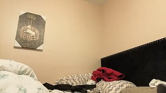 hailzeffn online show from November 2025 11:52:02 PM