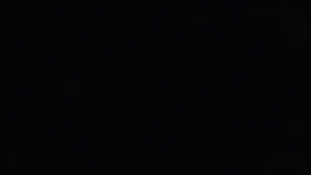 hailzeffn online show from October 2025 04:58:02 AM