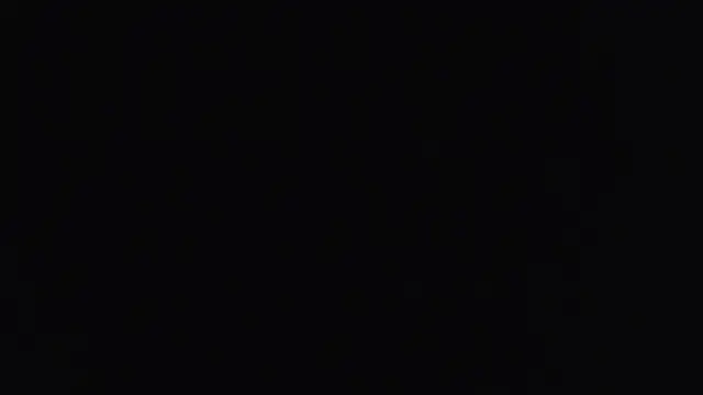 hailzeffn online show from November 2025 03:17:02 PM