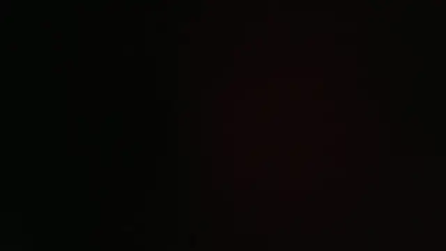 hailzeffn online show from November 2025 11:14:02 AM