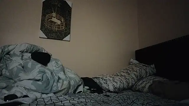 hailzeffn online show from November 2025 09:25:01 AM