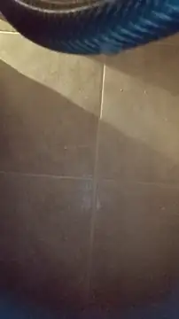 Snapshot of whitetrashdirtyslut chatting on December 2025 03:16:02 AM whitetrashdirtyslut online show from December 2025 03:16:02 AM