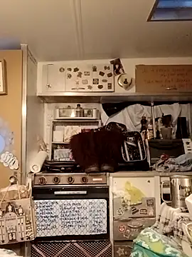 whitetrashdirtyslut online show from March 2026 01:13:01 PM