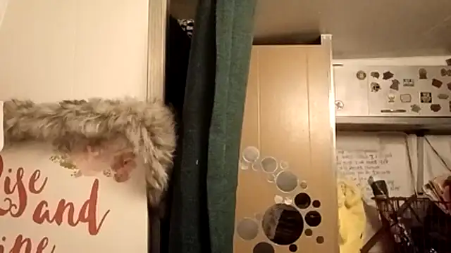 whitetrashdirtyslut online show from February 2026 12:16:01 PM