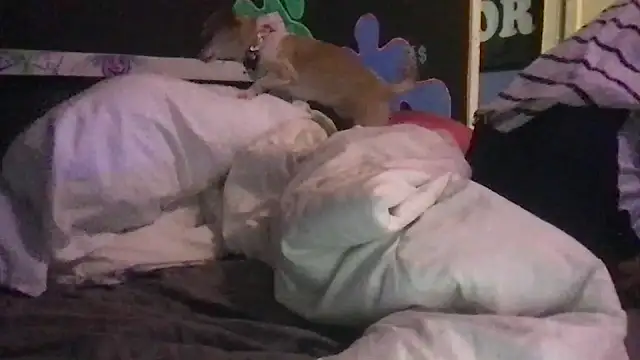 watermellonpussy online show from December 2024 11:06:02 PM
