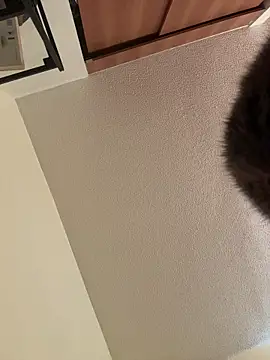 Megan Rodrigo online show from March 2026 12:32:02 PM